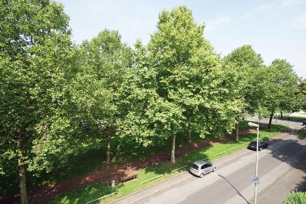 ...Ausblick des Schlafzimmers