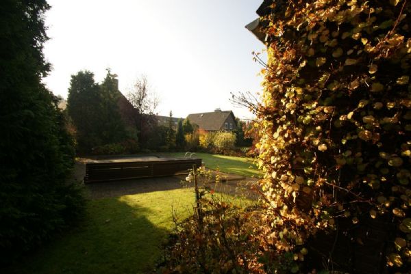 ..Blick in den Garten