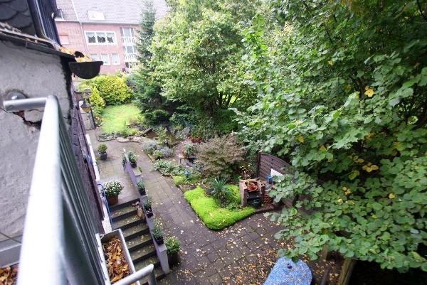 Blick in den Garten