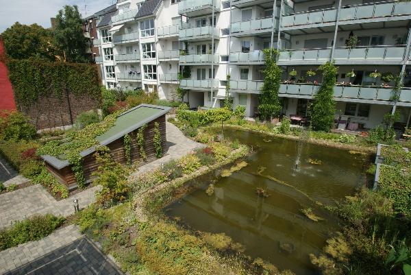 ...Blick in die Gartenanlage im Sommer