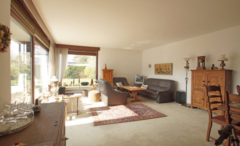 großer Wohn-/Essbereich