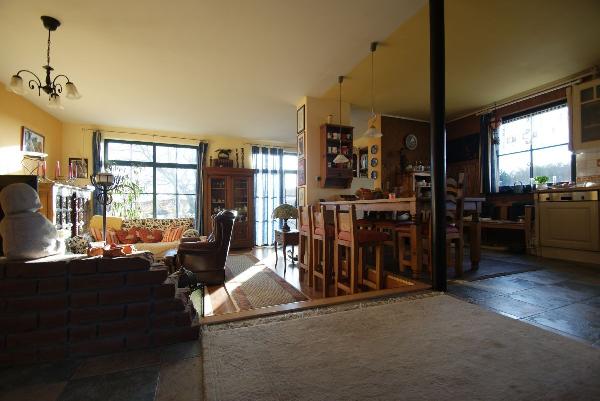 ...hell und freundlich