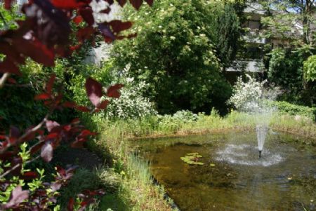 ..mit Wasserspiele