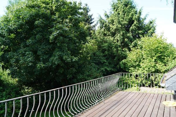 toller Grünblick